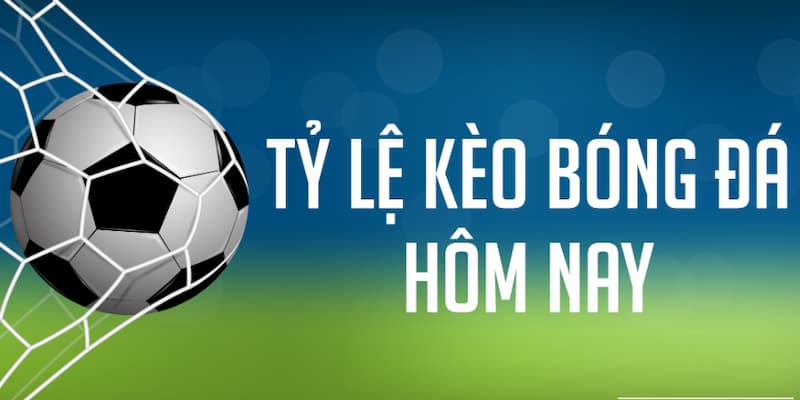 Tỷ Lệ Kèo Bóng Là Gì? Cách Hiểu Để Đặt Cược Hiệu Quả
